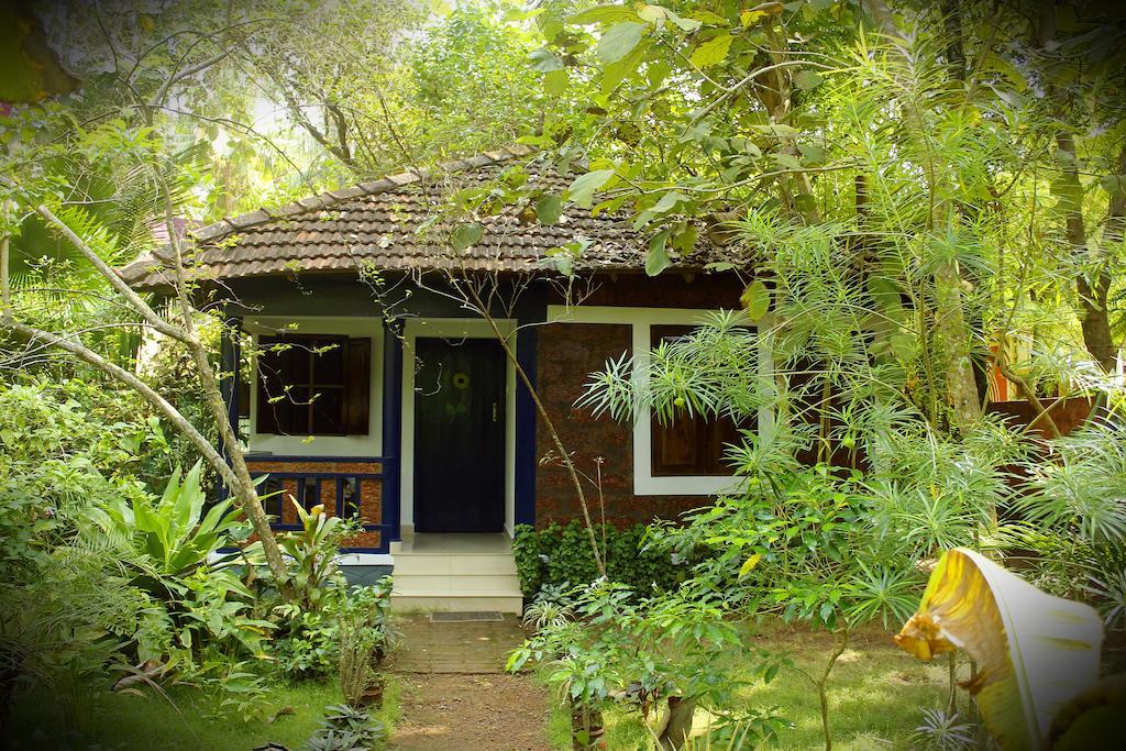 Jickys Nest Hotel Varkala Room photo